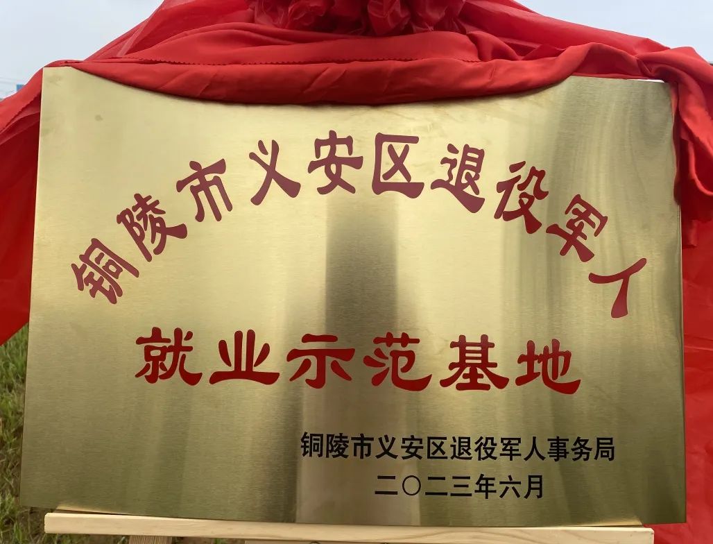 南宫NG28相信品牌的力量网址(中国游)官网